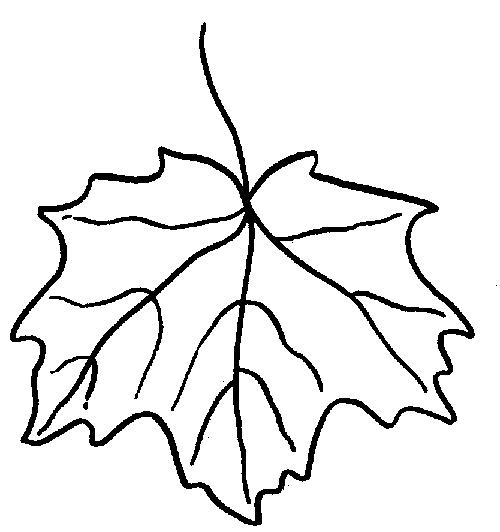 Plansa de colorat cu Toamna 155 63